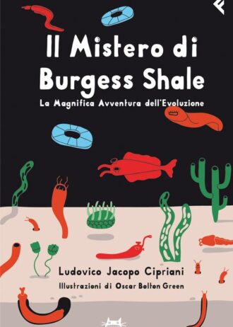 mistero burgess shale (1)